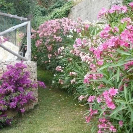 Nette Ferienwohnung In Mit Grossem Garten Апартаменты *